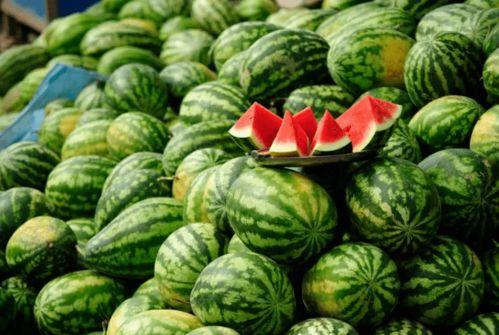 有瓜可以吃的网红,揭秘网红瓜界的美食传奇