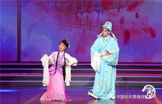 黄梅戏视频在线观看,在线观看经典剧目，感受传统戏曲之美